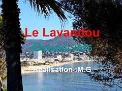 183 D36 LE LAVANDOU